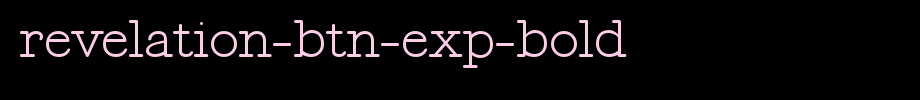Revealing-BTN-exp-bold.ttf Nice English font
(Art font online converter effect display)