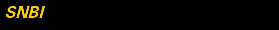 SNBI_英文字体(艺术字体在线转换器效果展示图)
