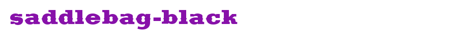 Saddlebag-Black.ttf is a good English font download
(Art font online converter effect display)
