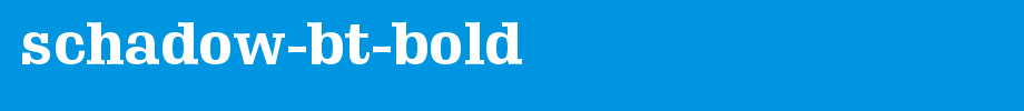 Schadow-BT-Bold.ttf is a good English font download
(Art font online converter effect display)