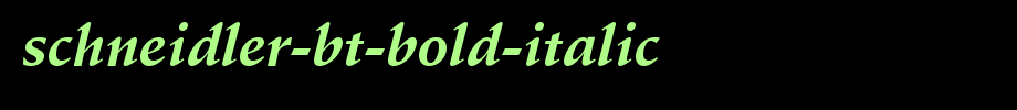 Schneidler-BT-Bold-Italic.ttf是一款不错的英文字体下载(字体效果展示)