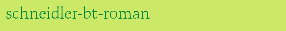 Schneider-Bt-Roman. TTF is a good English font download
(Art font online converter effect display)