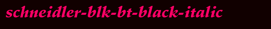 Schneidler-Blk-BT-Black-Italic.ttf是一款不错的英文字体下载