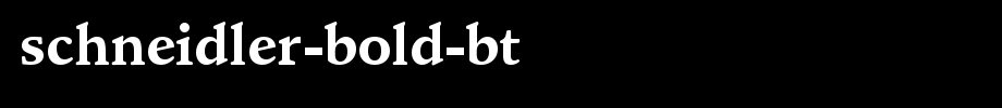Schneidler-Bold-BT.ttf是一款不错的英文字体下载