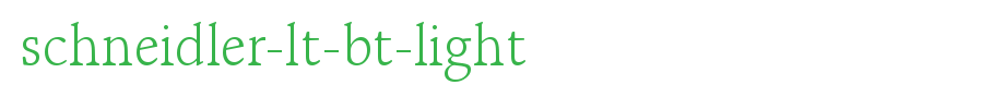 Schneider-lt-Bt-light.ttf is a good English font download