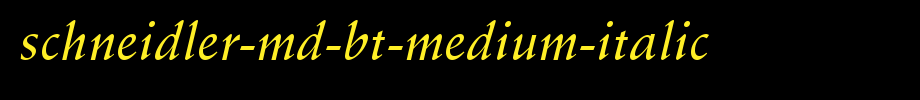 Schneider-MD-Bt-medium-italic.ttf is a good English font download
(Art font online converter effect display)