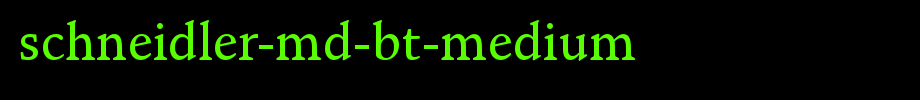Schneidler-Md-BT-Medium.ttf是一款不错的英文字体下载(字体效果展示)