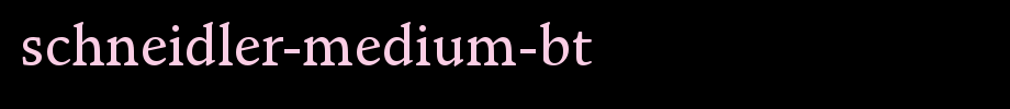 Schneider-medium-bt.ttf is a good English font download
(Art font online converter effect display)