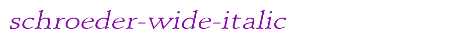 Schroeder-Wide-Italic.ttf is a good English font download
(Art font online converter effect display)