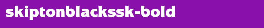 SkiptonBlackSSK-Bold.ttf是一款不错的英文字体下载(字体效果展示)
