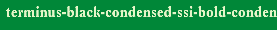 Terminus-Black-Condensed-SSi-Bold-Condensed.ttf类型，T字母英文