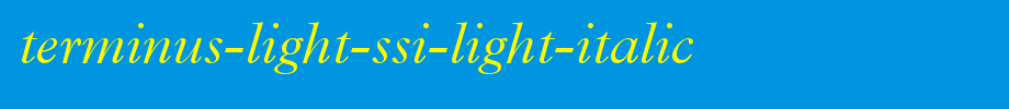 Terminus-Light-SSi-Light-Italic.ttf类型，T字母英文(字体效果展示)