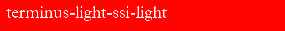 Terminus-Light-SSi-Light.ttf类型，T字母英文