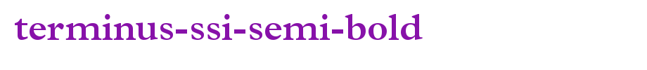 Terminus-SSi-Semi-Bold.ttf类型，T字母英文