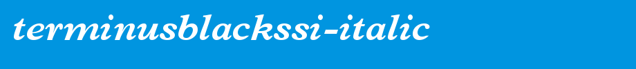 TerminusBlackSSi-Italic.ttf类型，T字母英文