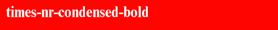 Times-NR-Condensed-Bold.ttf类型，T字母英文