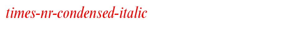 Times-NR-Condensed-Italic.ttf类型，T字母英文