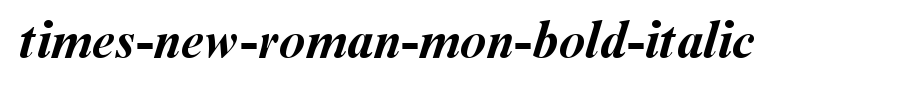 Times-New-Roman-Mon-Bold-Italic.ttf类型，T字母英文