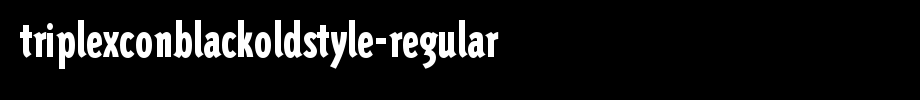 Triplexconblackoldstyle-regular.ttf type, t letter English
(Art font online converter effect display)