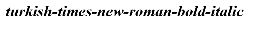 Turkish-Times-New-Roman-Bold-Italic.ttf类型，T字母英文(字体效果展示)