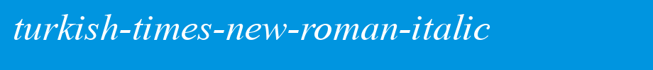 Turkish-Times-New-Roman-Italic.ttf类型，T字母英文